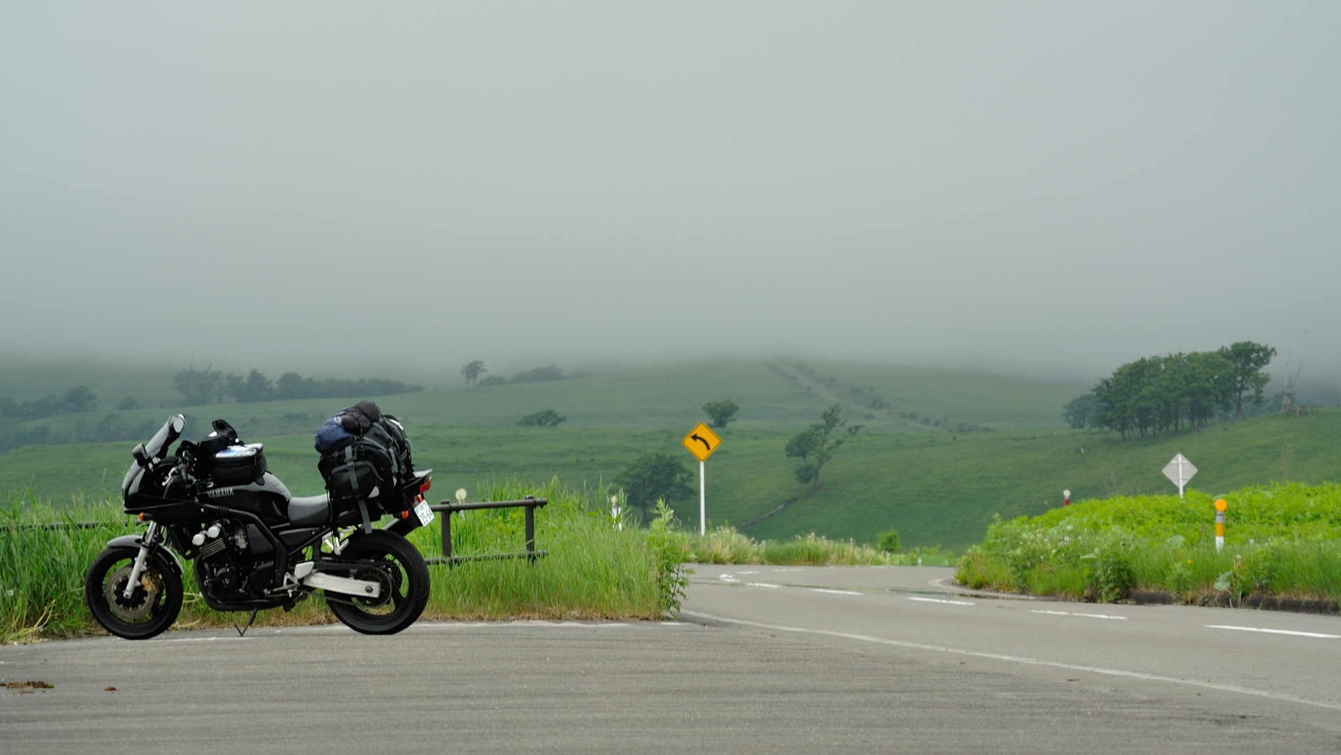 画像ギャラリー